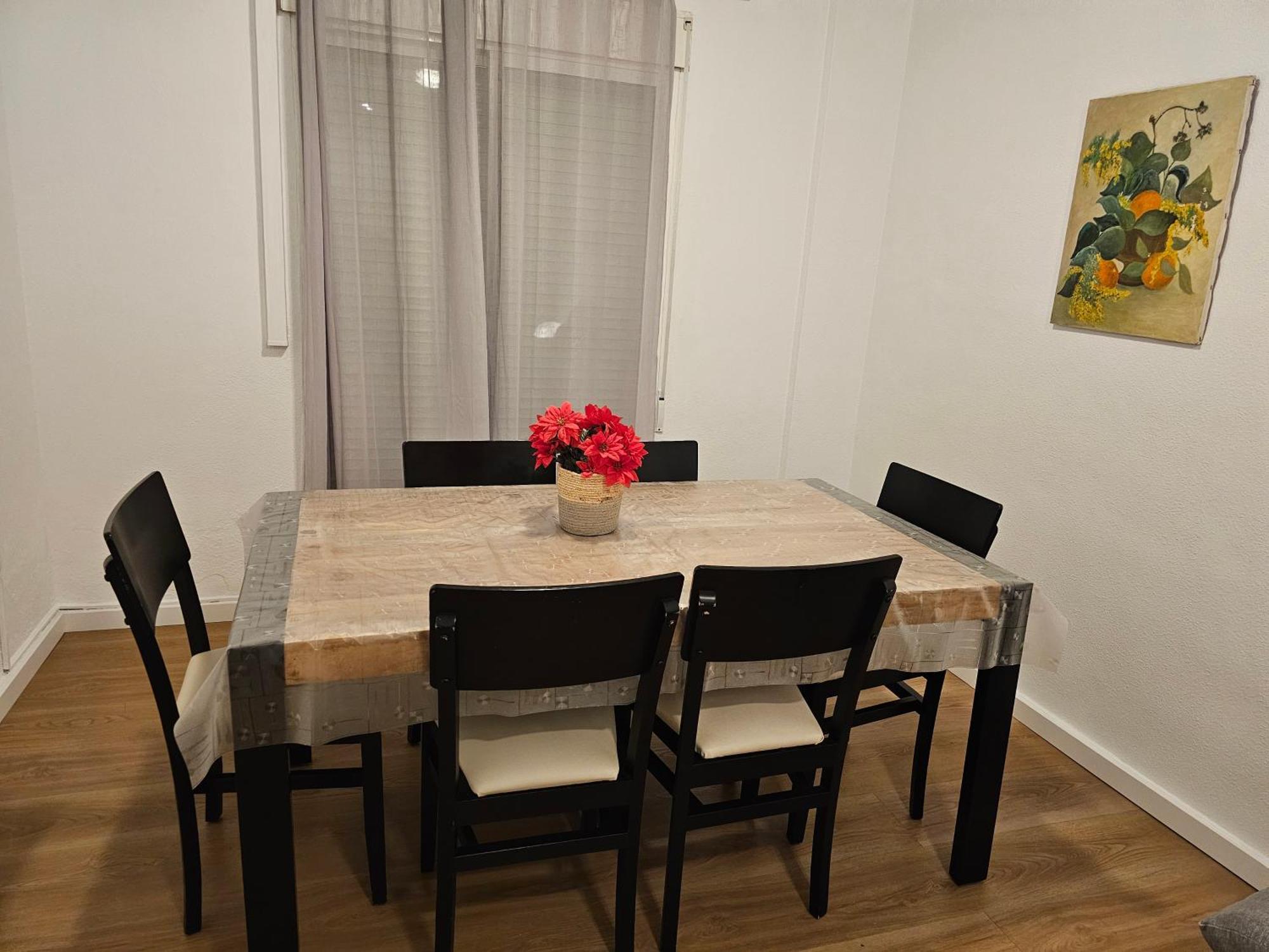 Apartamentos Plaza Αλικάντε Εξωτερικό φωτογραφία